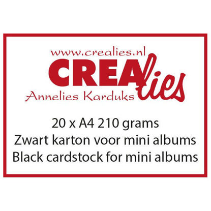 Afbeeldingen van Zwart karton, 210 grams, voor o.a. mini albums