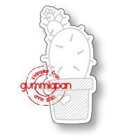 Picture of Dies to Cactus with flower