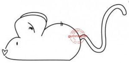 Picture of Muis - stempel (normaal €3,00)