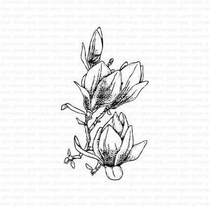 Magnolia - stempel - Gummiapan