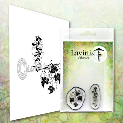 Twisted Vine Set - Lavinia Stamps - LAV613