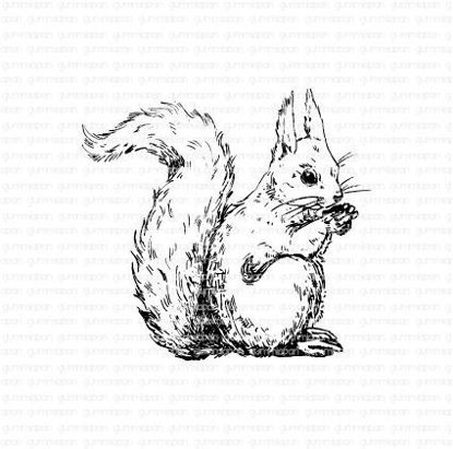 Eekhoorn - stempel - Gummiapan