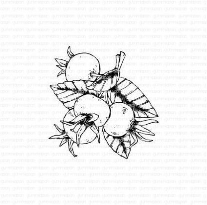 Rozenbottel - stempel - Gummiapan