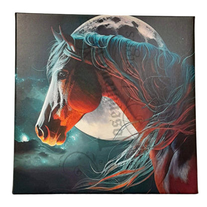 Afbeelding van paard in het heelal op canvas van 40x40 cm.