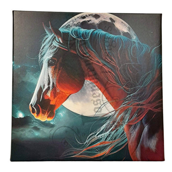 Afbeelding van paard in het heelal op canvas van 40x40 cm.