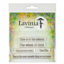 Time Flies - Lavinia Stamps - LAV783