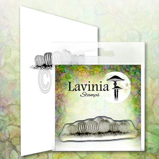 Urchins - Lavinia Stamps - LAV631