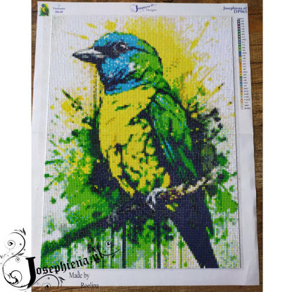 Deze geelgroene vogel diamond painting set van Josephiena.nl is gemaakt door Roelina.