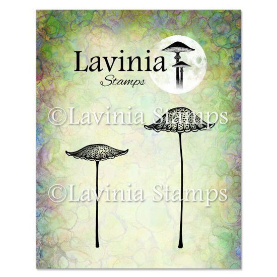 Thistlecap Mushrooms - Lavinia Stamps - LAV856
