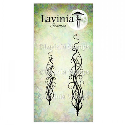 Dragons Thorn - Lavinia Stamps - LAV864
