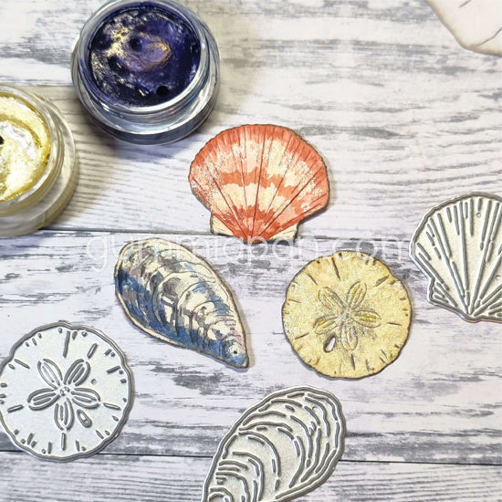 Grote schelpen - stans - Gummiapan - D240324