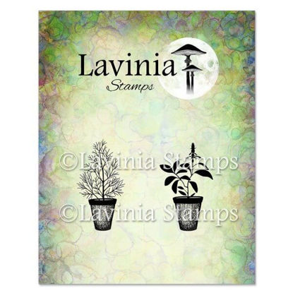 Dill & Sage Pots - Lavinia Stamps - LAV939