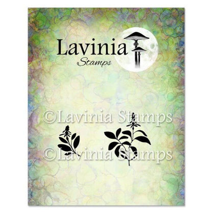 Sage - Lavinia Stamps - LAV949