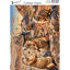 Woestijndieren #9 - Josephiena's collage paper - CP-083
