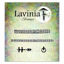 Hobbits Door Accessories  - Lavinia Stamps - LAV967