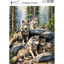 Wild life #14 - Josephiena's collage paper - CP-099